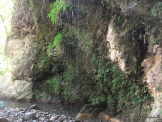ldaia del Drago19-07-2015 10-15-48